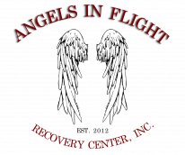 Angels In Flight